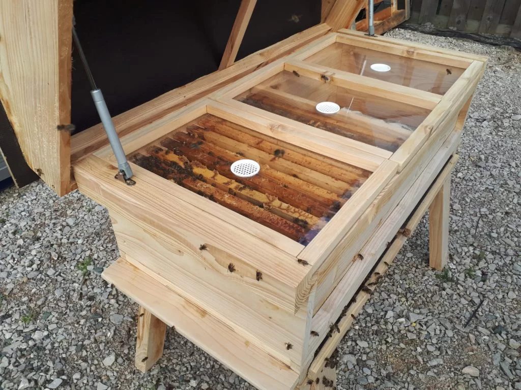 SURESTORE-BEES-1024×768 surestore bees