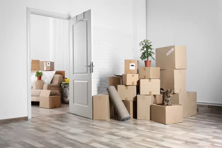 Sustainable packing tips for moving