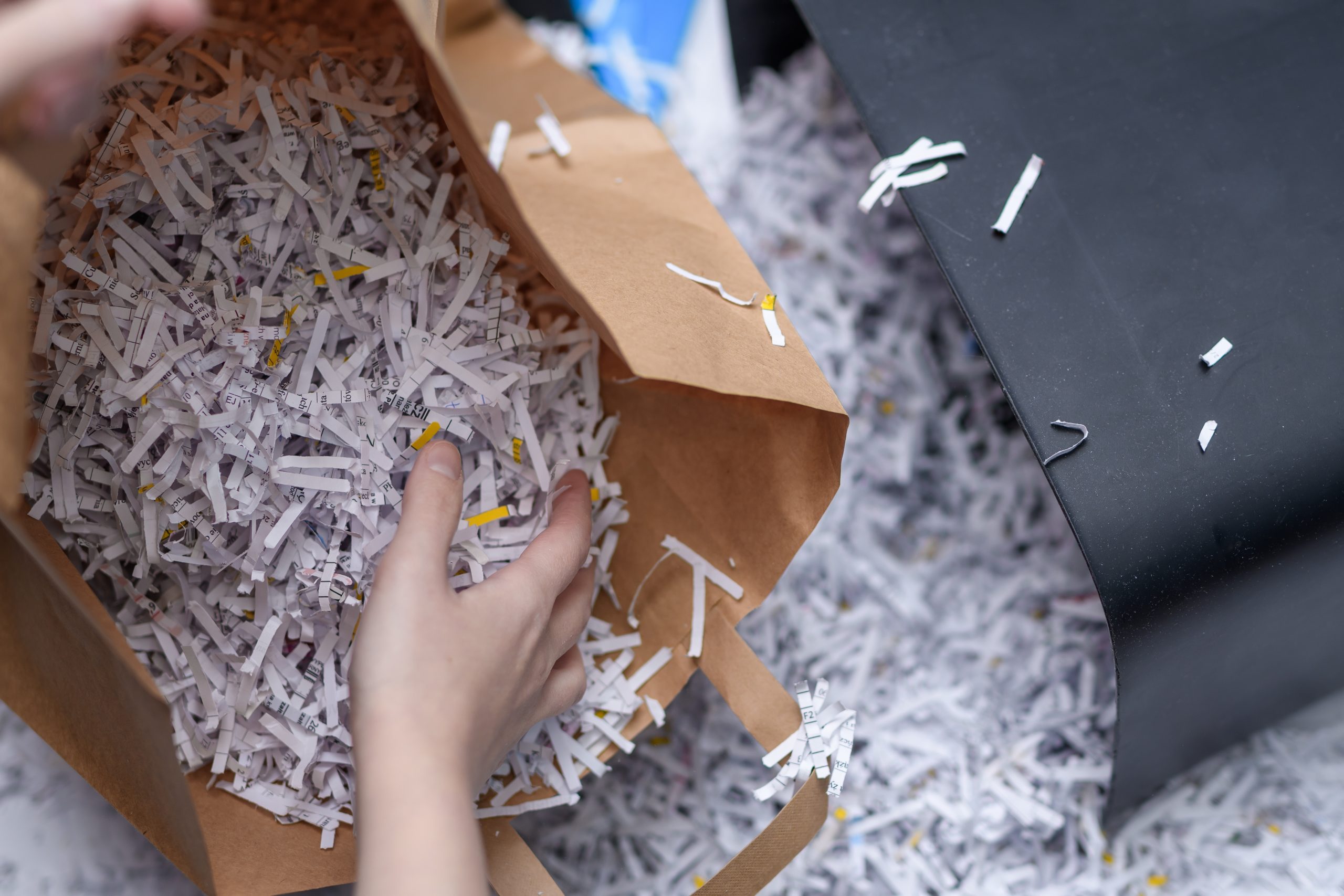 shutterstock_2415908943 Shredder